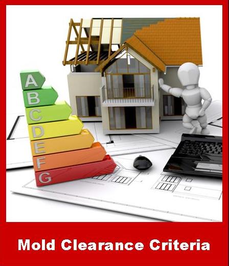 Mold Clearance Criteria